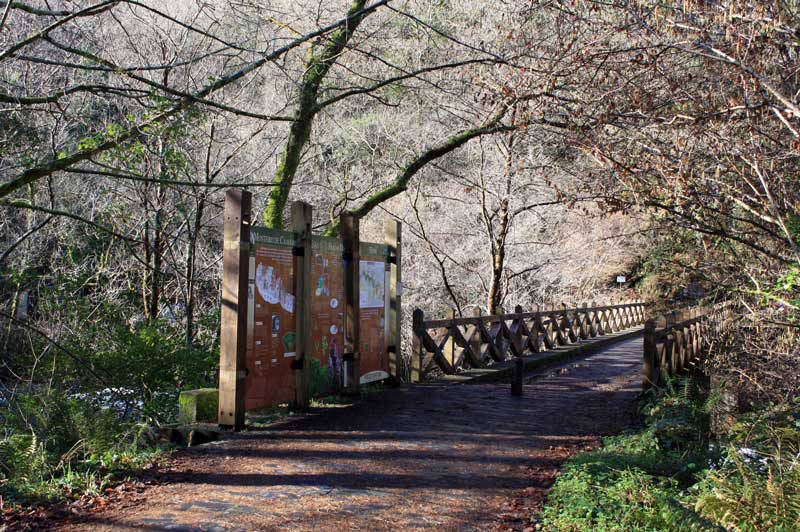 Puente de Santa Cristina