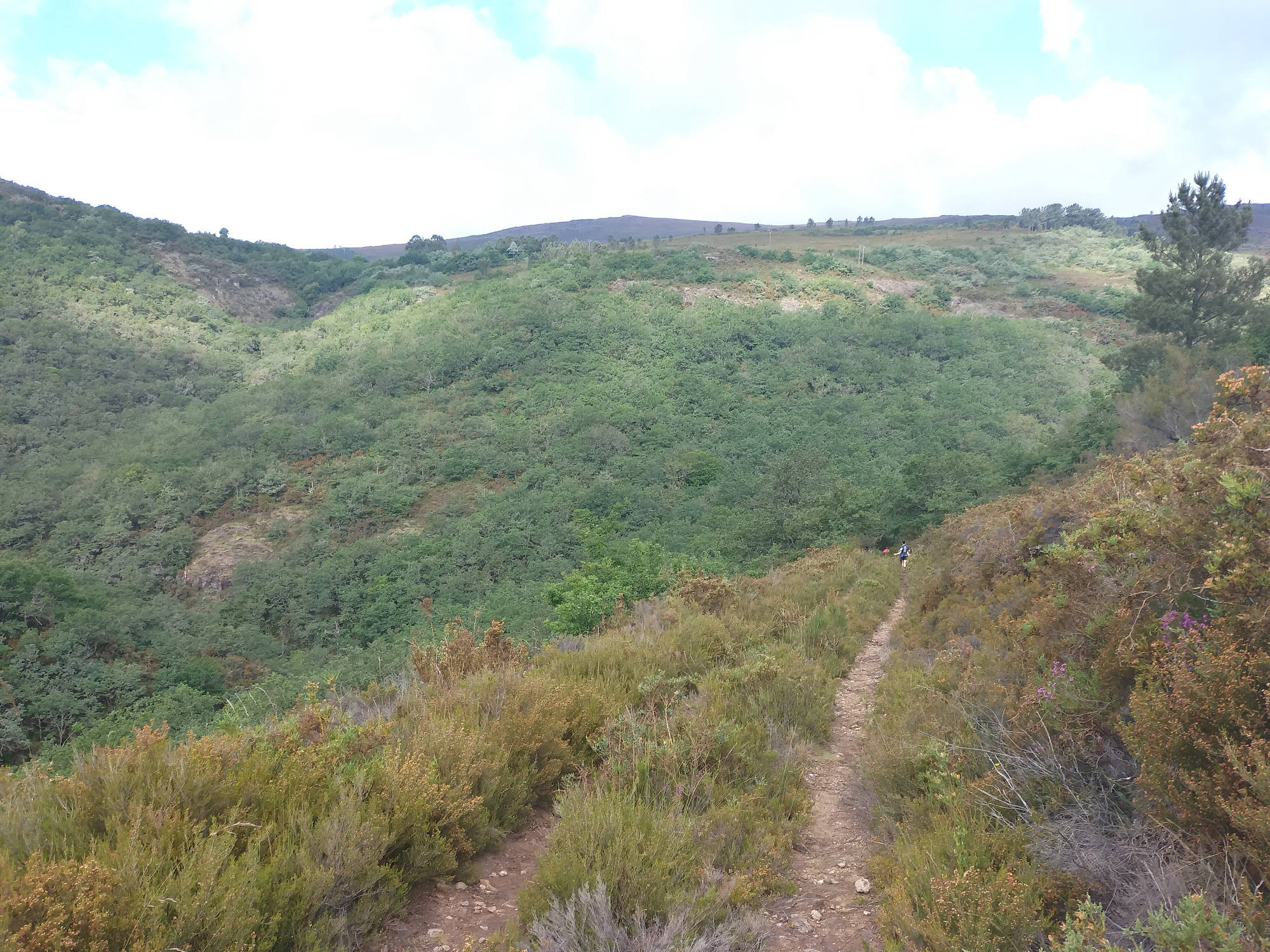 Trail de Vilatuxe 2022