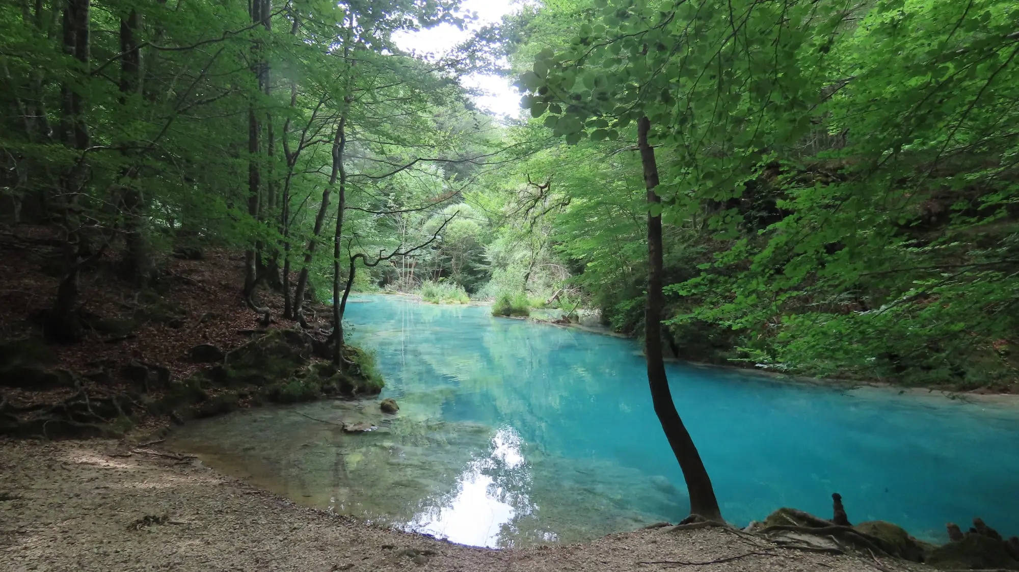 Nacedero del Urederra