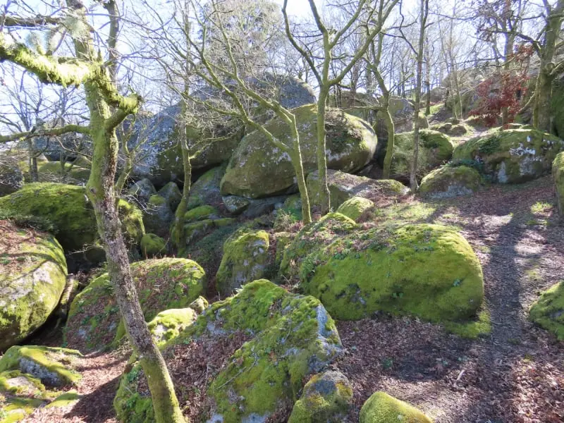Miradores de Pena Corneira