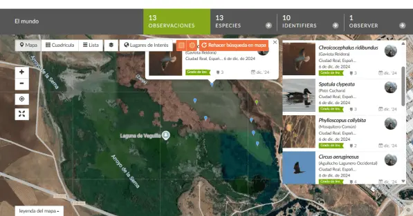 Lagunas de Alcázar de San Juan