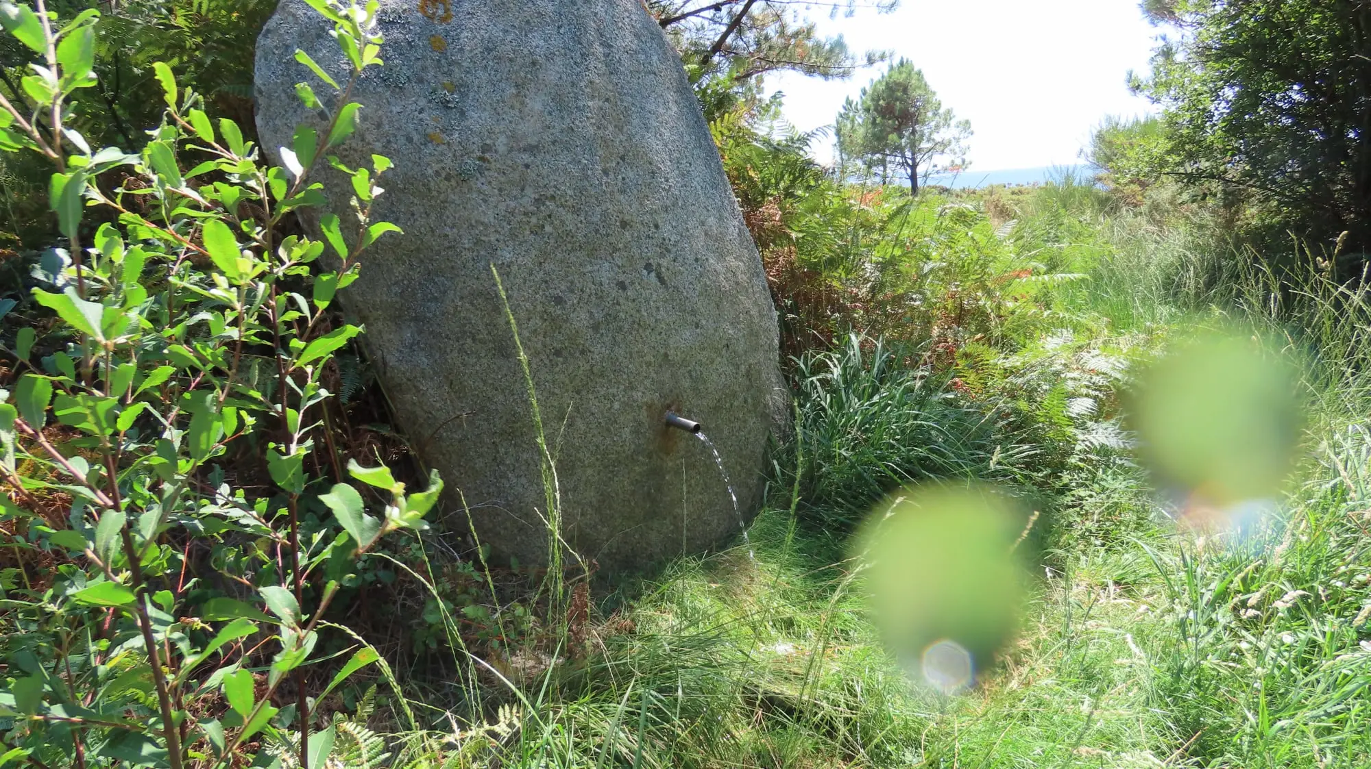 Playa, laguna y monte Louro