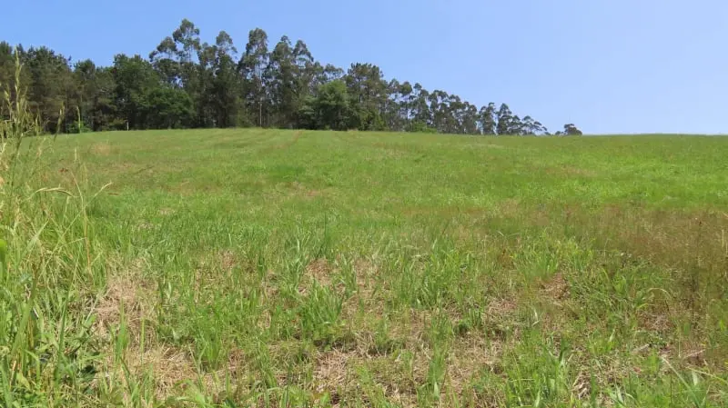 PR-G 202: Fervenza da Rexedoira