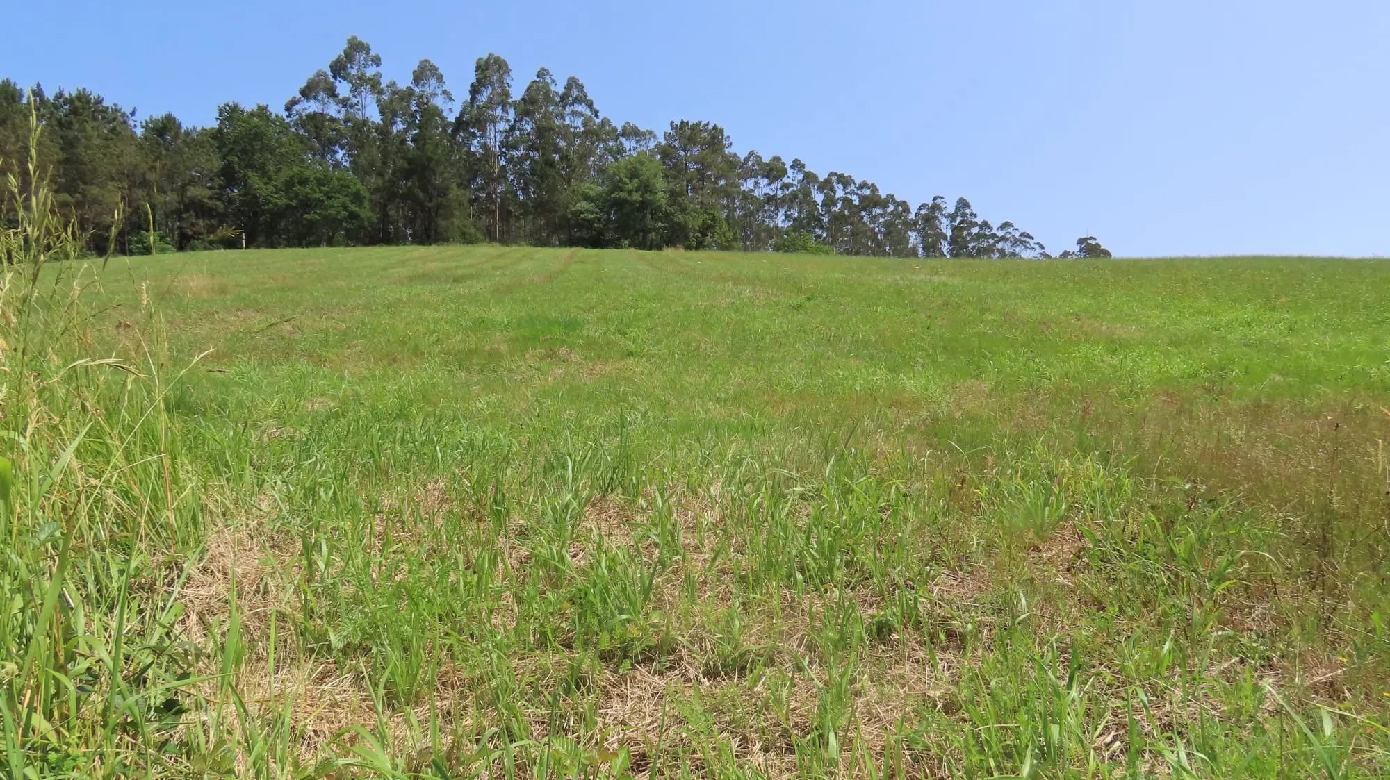 PR-G 202: Fervenza da Rexedoira