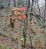 Senda do río cuberto