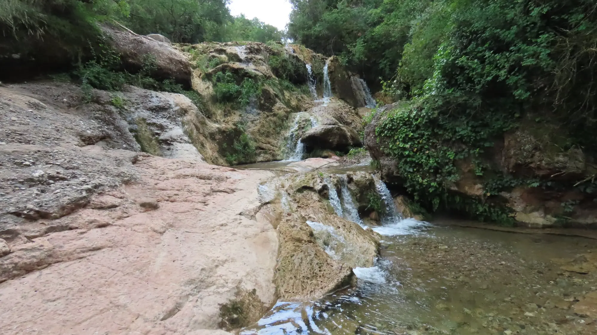 SL-C 66 Les mil Fonts de la riera de Nespres en Mura