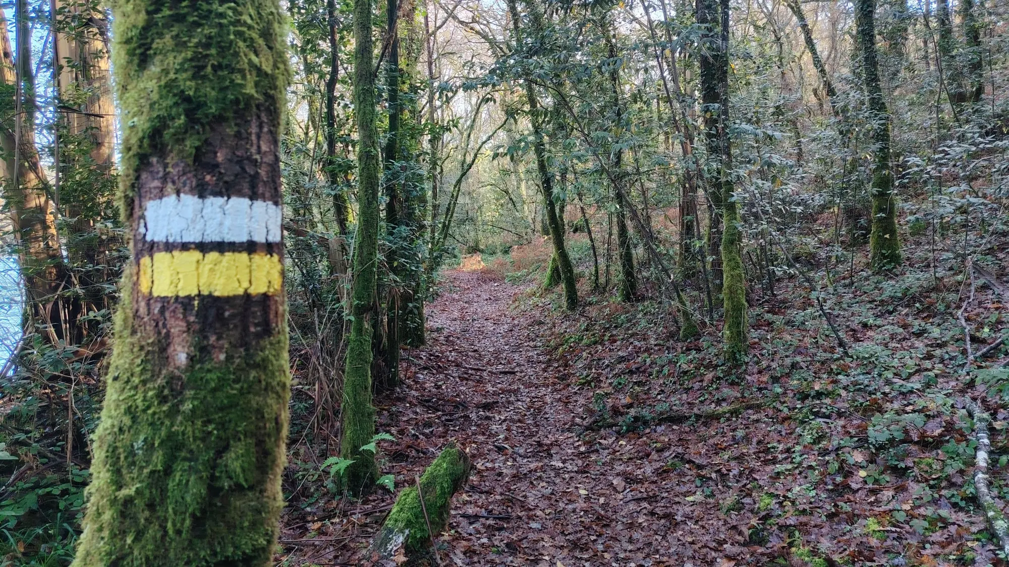 PR-G 196: Ruta de Castro