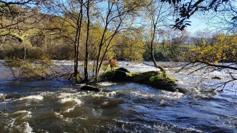 PR-G 196: Ruta de Castro