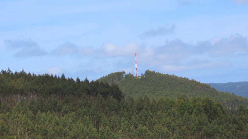 Mirador Pico da Ferreira