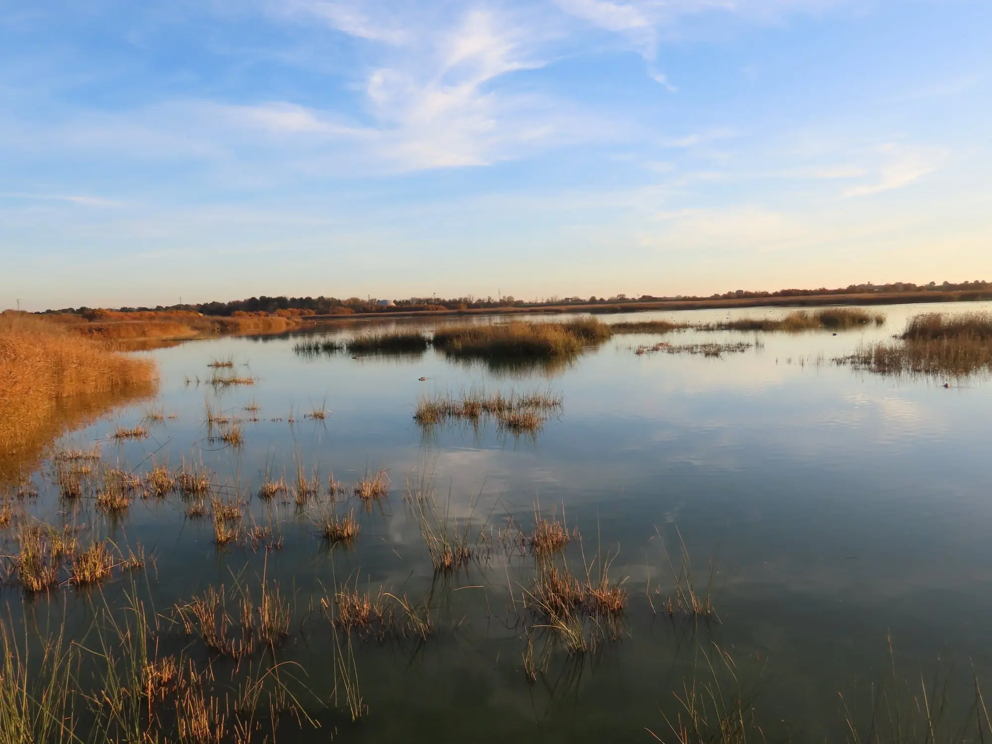 Lagunas de Alcázar de San Juan