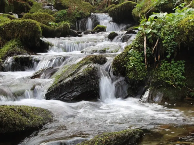 Fraga das Reigadas (A Pontenova, Lugo)