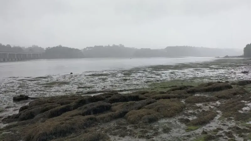 Senda litoral de Taragoña-Rianxo