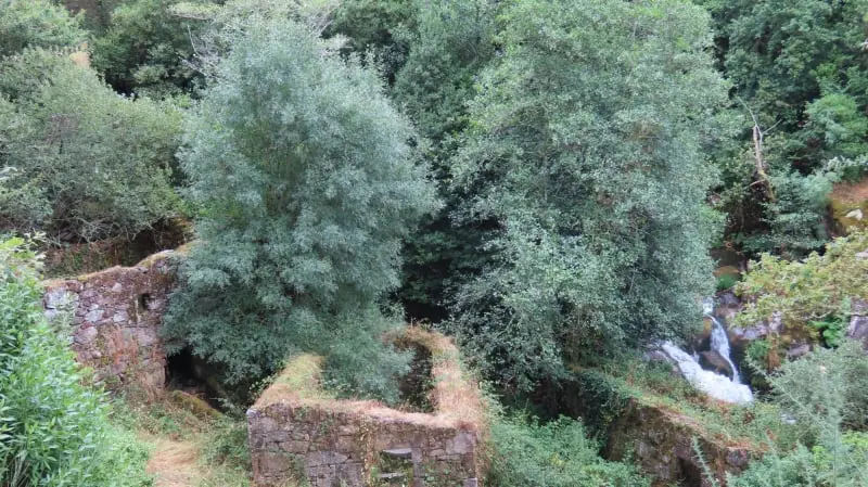 De Barosa a la fervenza de As Laxes