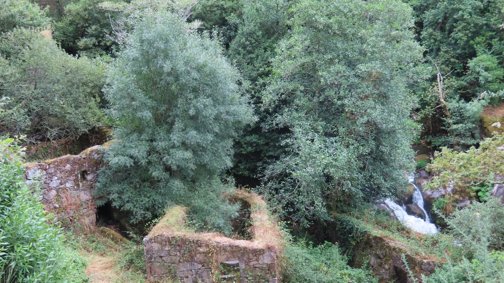 De Barosa a la fervenza de As Laxes