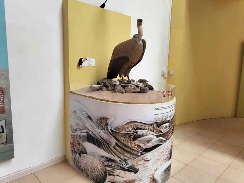 Casa del parque de las Hoces del río Riaza