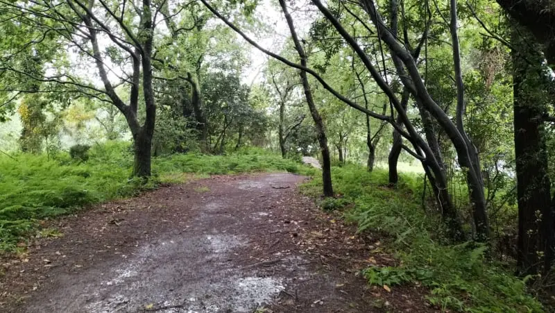 Senda litoral de Taragoña-Rianxo