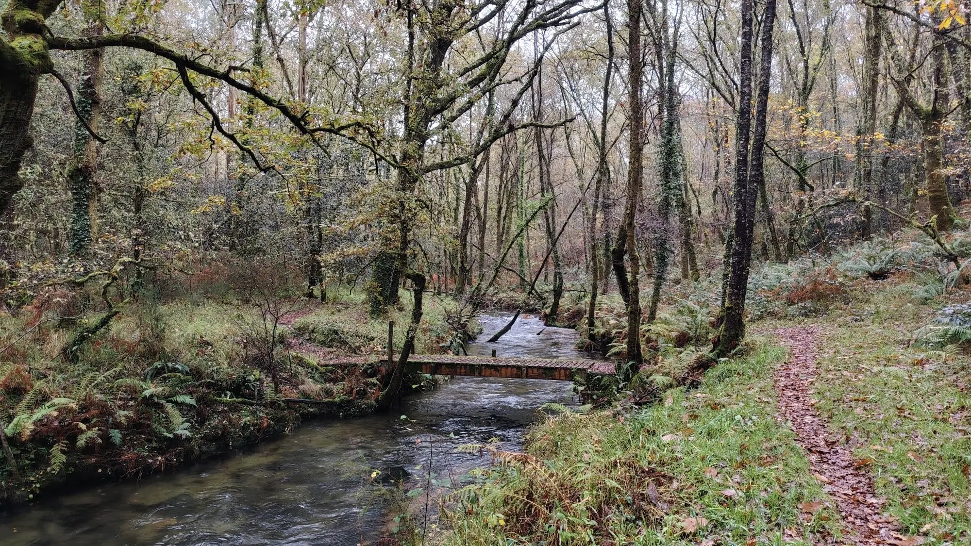 Senda do río cuberto