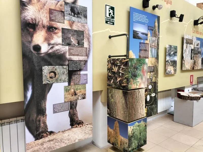 Casa del parque de las Hoces del río Riaza