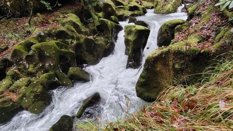 Senda do río cuberto