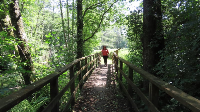 Ruta Foz das aceas