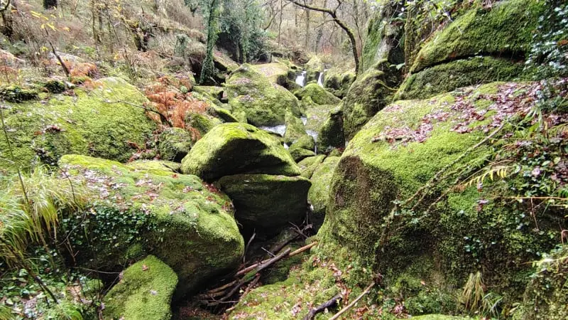 Senda do río cuberto