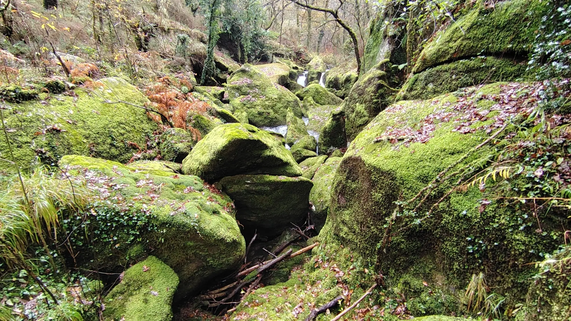 Senda do río cuberto
