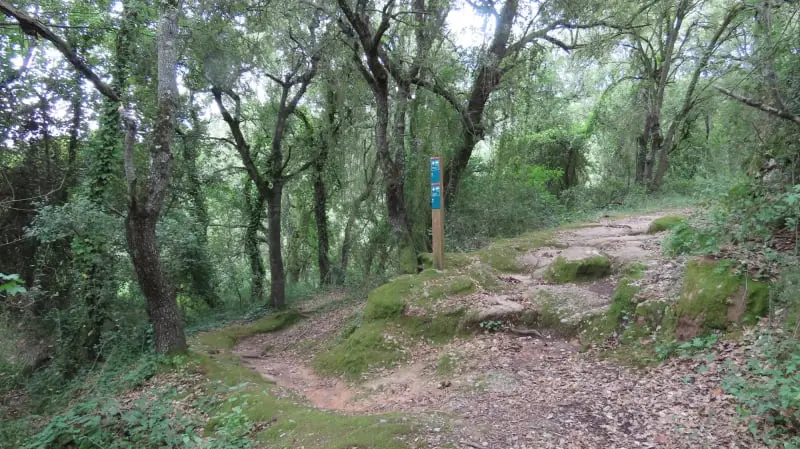 SL-C 66 Les mil Fonts de la riera de Nespres en Mura