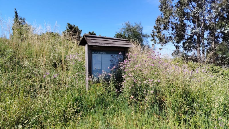 Mirador Pico da Ferreira
