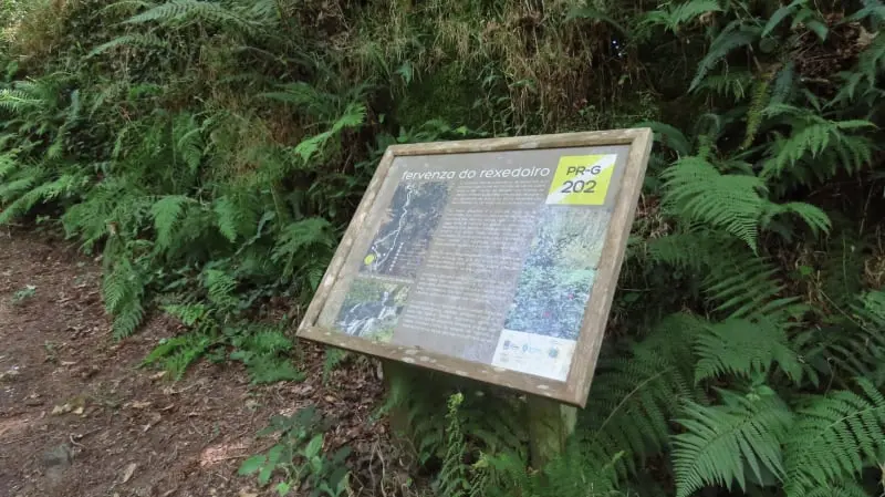 PR-G 202: Fervenza da Rexedoira