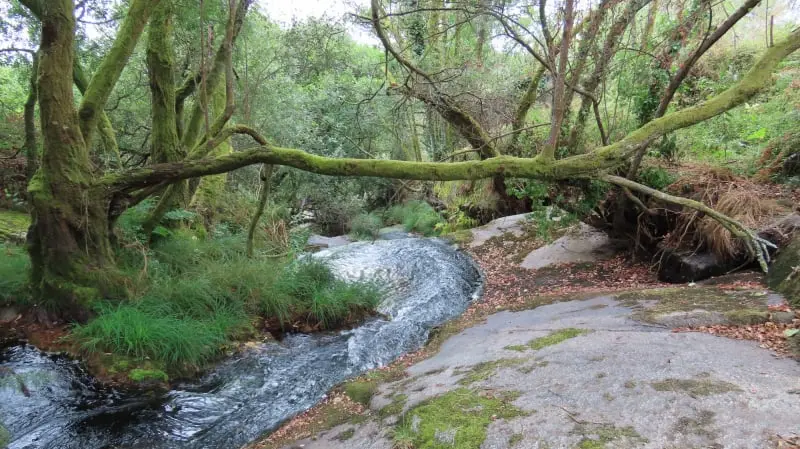 De Barosa a la fervenza de As Laxes