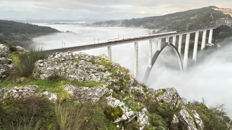 Trail A Camelia 2026