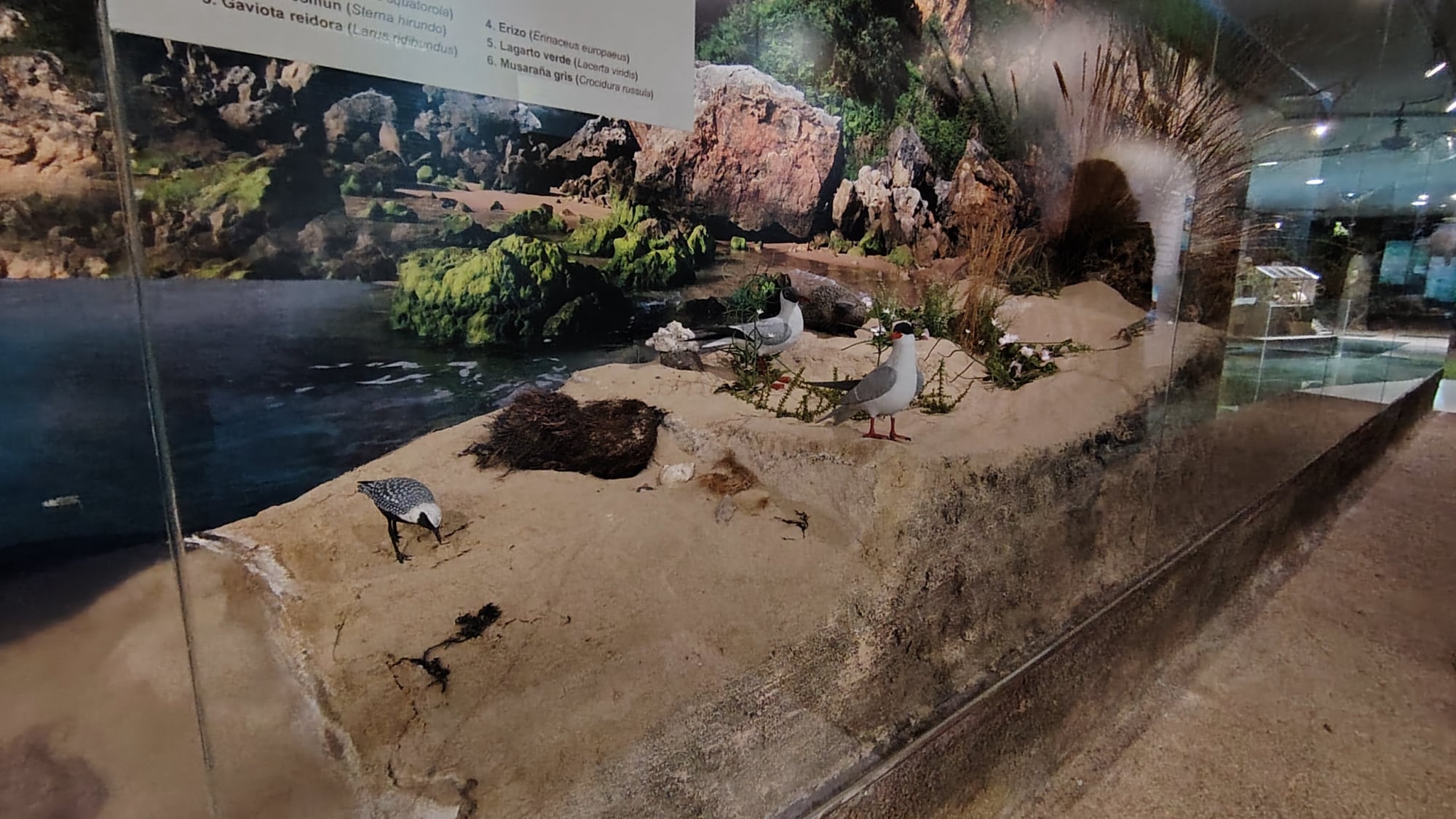 Centro de Interpretación del Parque Natural de las marismas de Santoña, Victoria y Joyel
