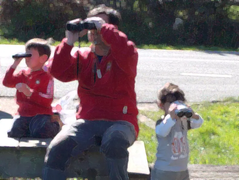 Lagoa de Sobrado (Sobrado dos Monxes, A Coruña)