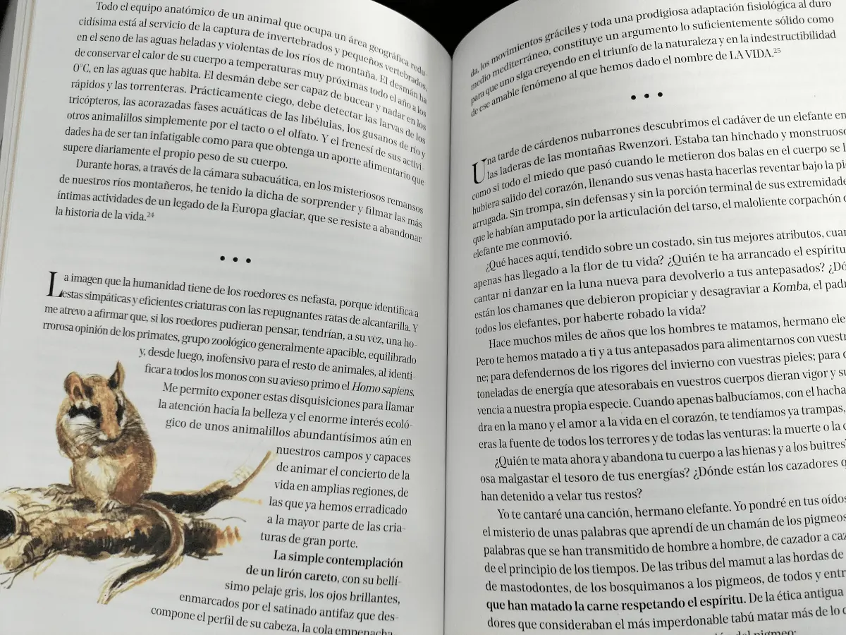 Félix. Un hombre en la tierra