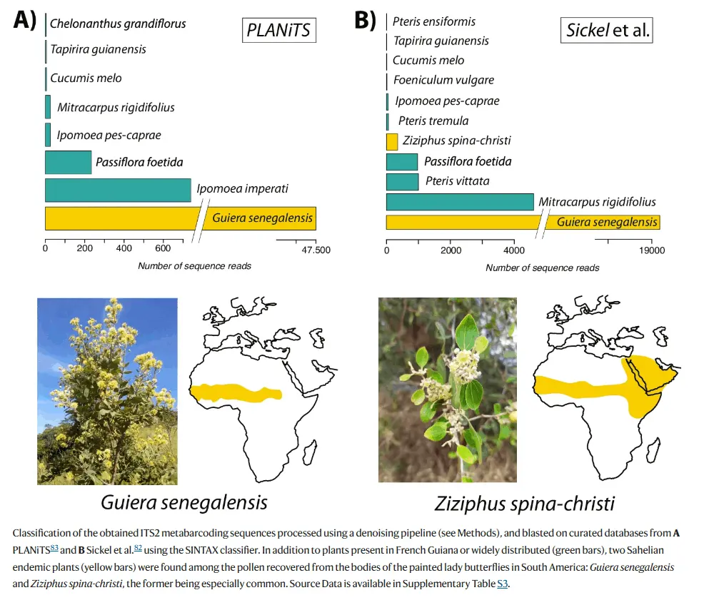 El método científico y el largo viaje de la cardera