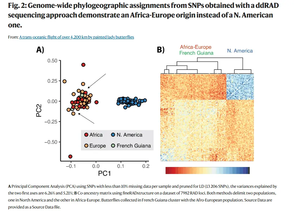 El método científico y el largo viaje de la cardera
