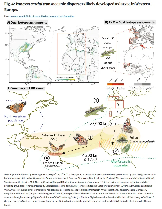 El método científico y el largo viaje de la cardera