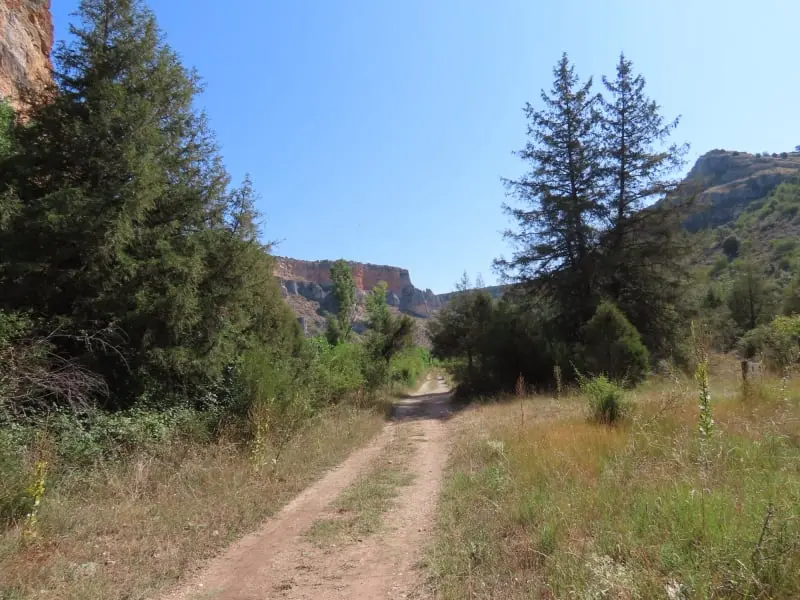 Hoces del río Riaza: la senda del río y sus buitres