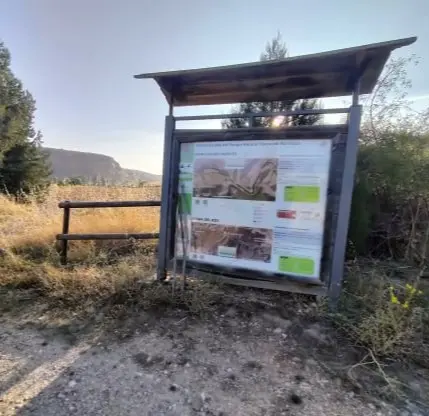 Hoces del río Riaza: la senda del río y sus buitres