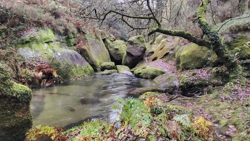 Senda do río cuberto
