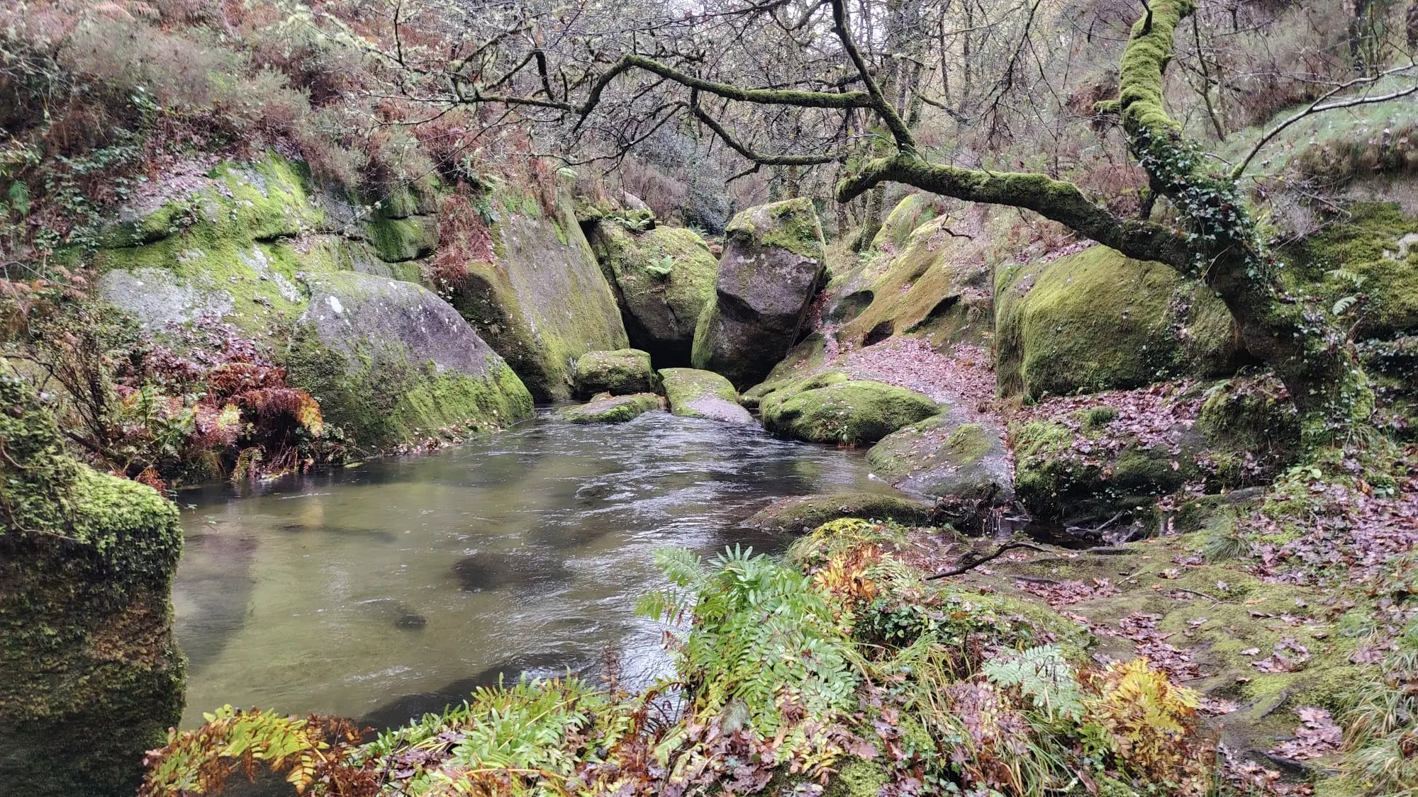 Senda do río cuberto