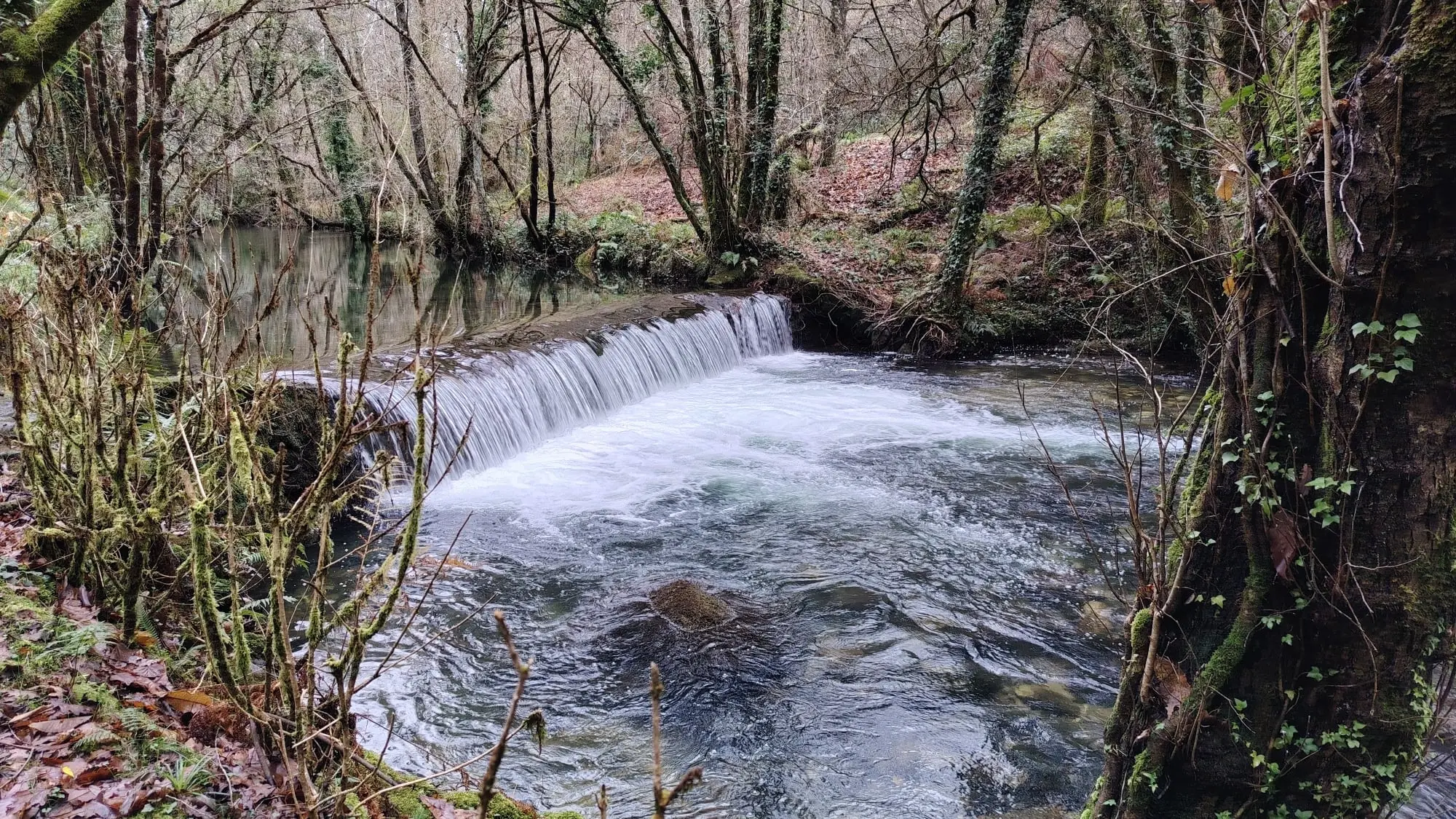 Sendeiro do río Castro
