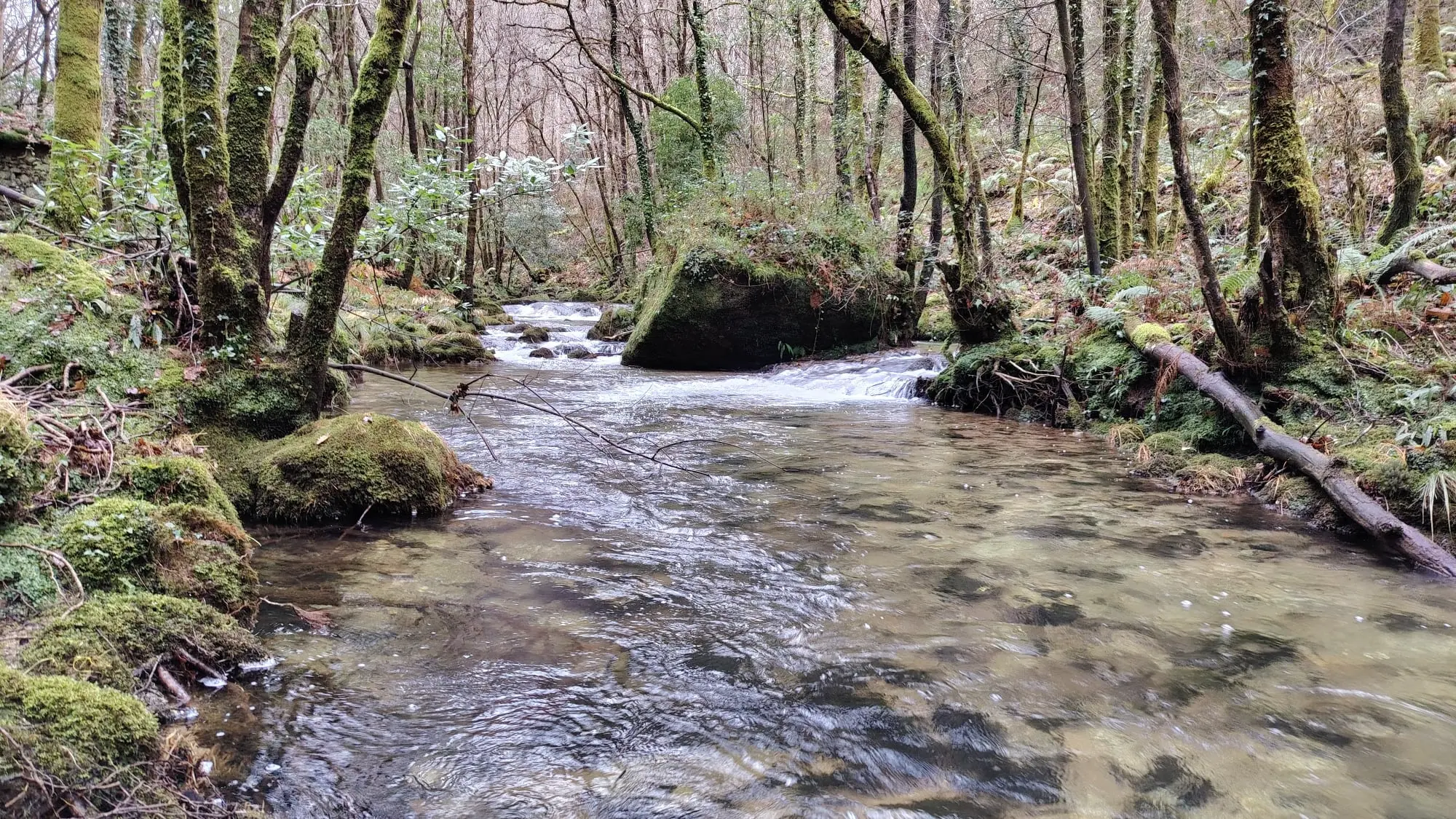 Sendeiro do río Castro