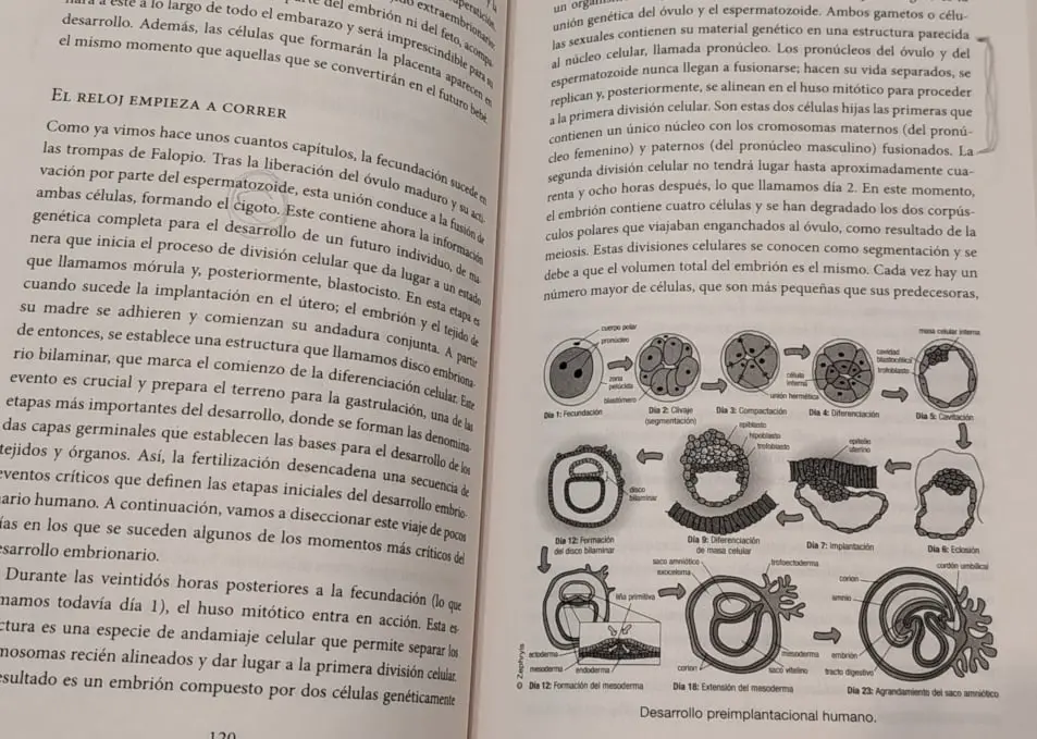 Embriología humana