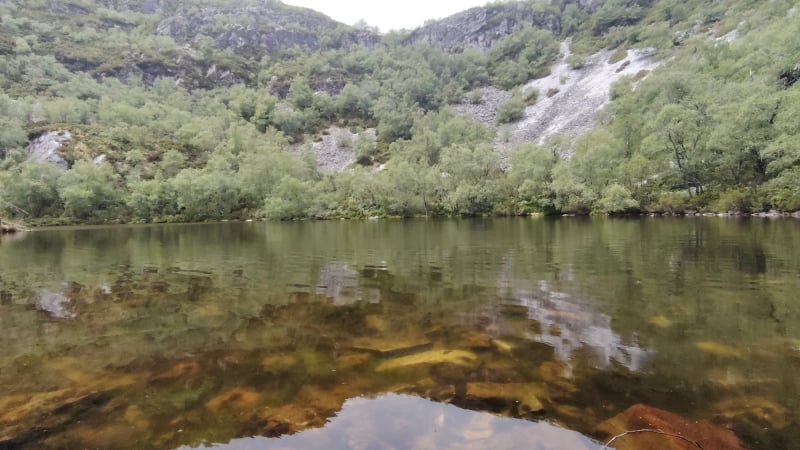 Reserva natural integral de Muniellos