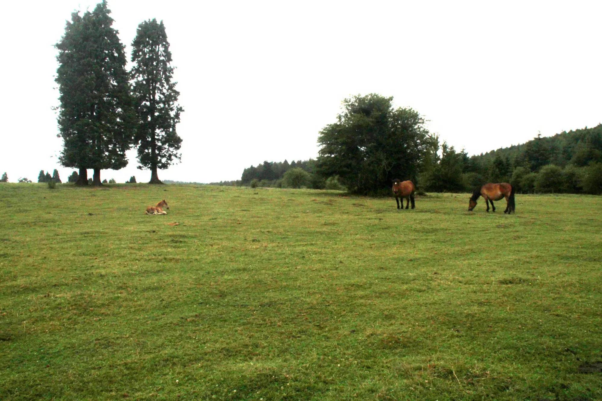 Sendero a la cascada de Uguna
