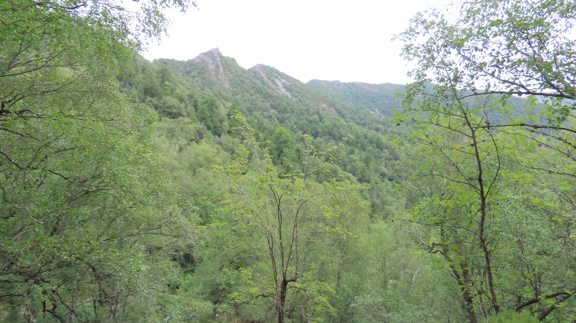 Reserva natural integral de Muniellos
