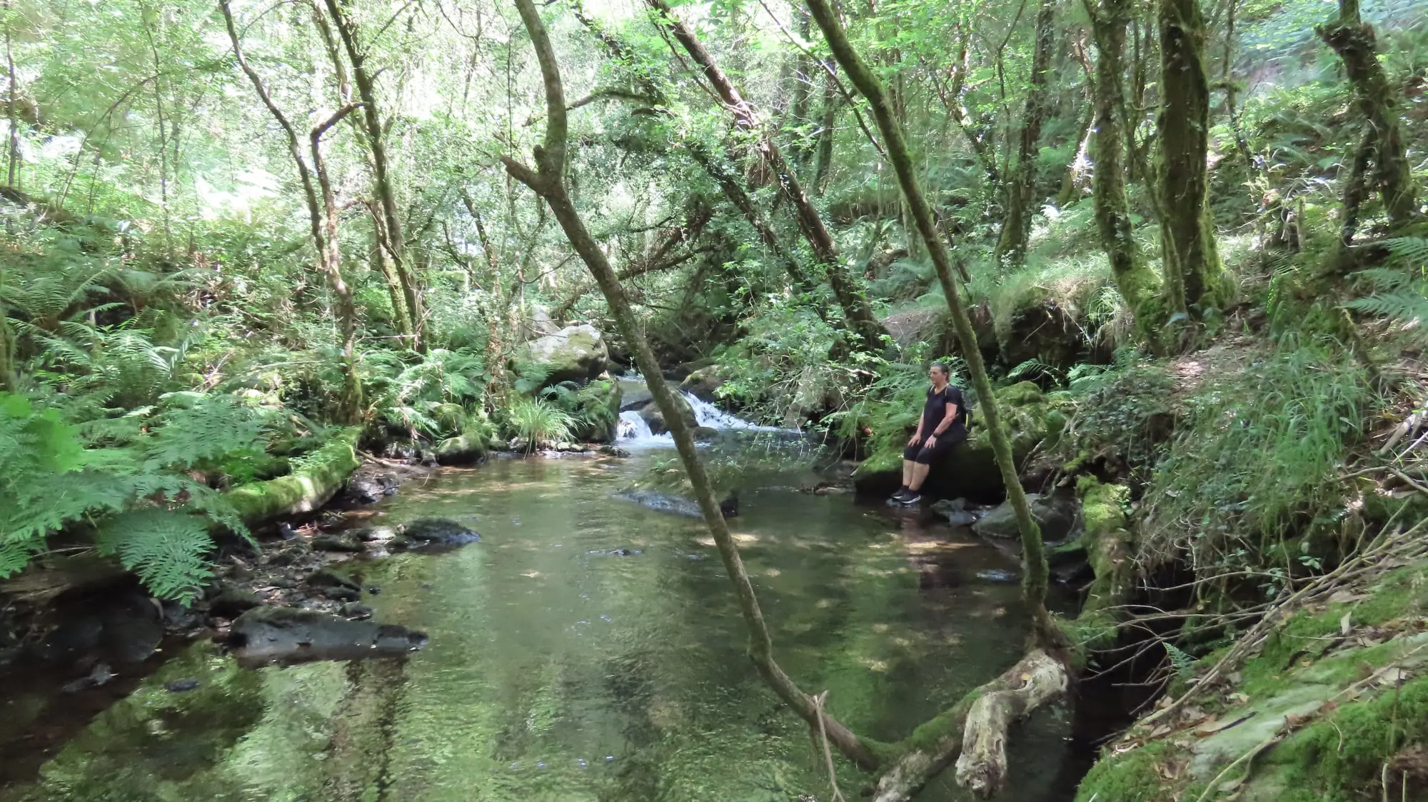 PR-G 202: Fervenza da Rexedoira