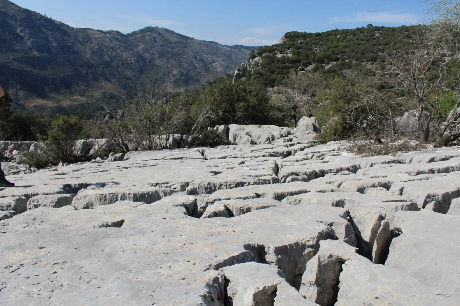 Lapiaz de Linarejos (Sierra de Cazorla, Jaén)