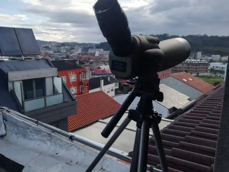 Maratón ornitológico Km0 (Arteixo, A Coruña)